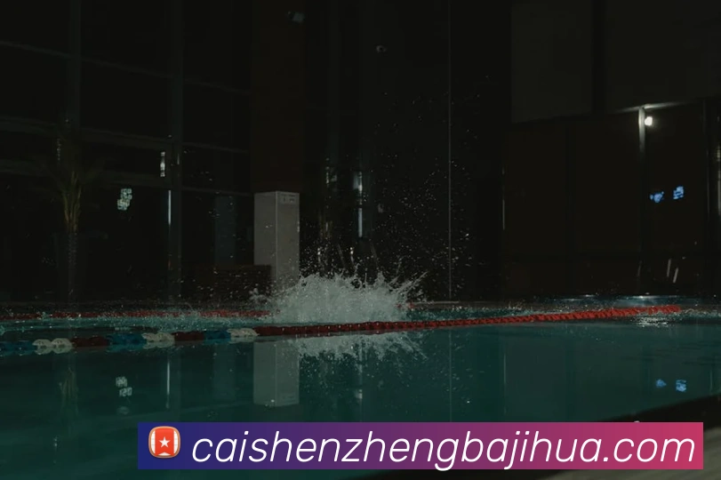 彩神争霸平台生态图